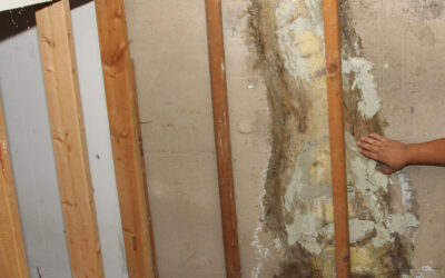 Why Early Inspection of Potential Water Damage is Crucial for Home and Office Safety and Value…